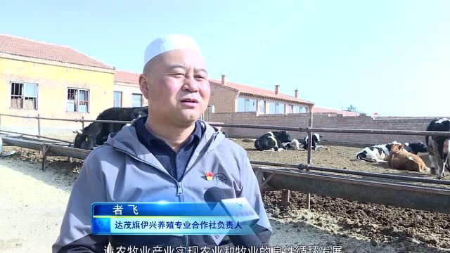 达茂旗:绿色种养循环 奏响乡村振兴“富民乐章”