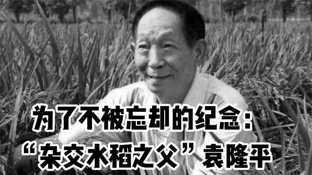 袁老的杂交水稻多厉害?美国操控粮价,中粮放粮让美国吃了大亏