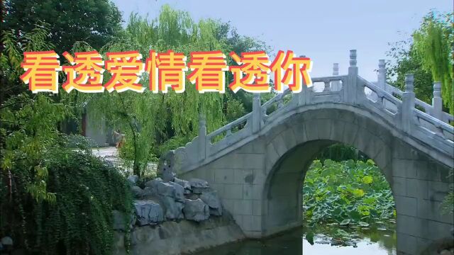 闲暇时间我最喜欢听这首由冷漠演唱陈伟作曲的《看透爱情看透你》