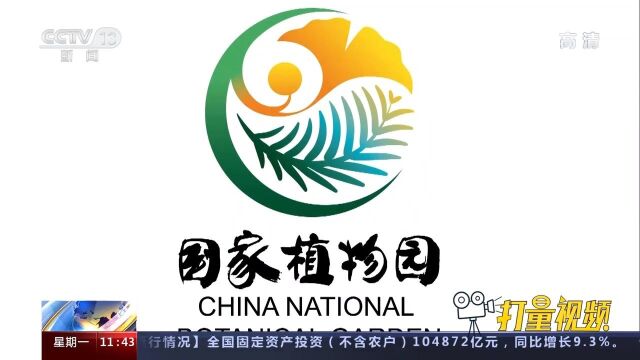 国家植物园标志使用银杏和水杉图案,有何意义?快来了解