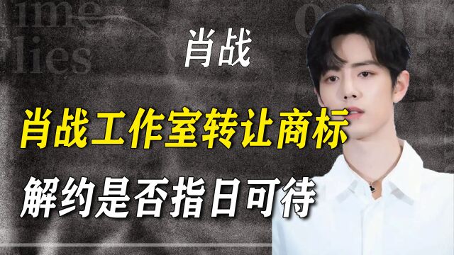 骤然转让26个商标?肖战真正意图藏不住!新公司控制人暗藏玄机