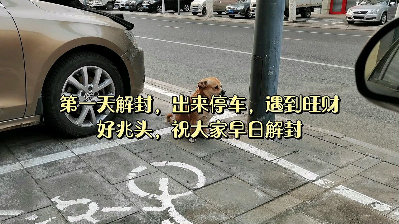 解封第一天的心情图片