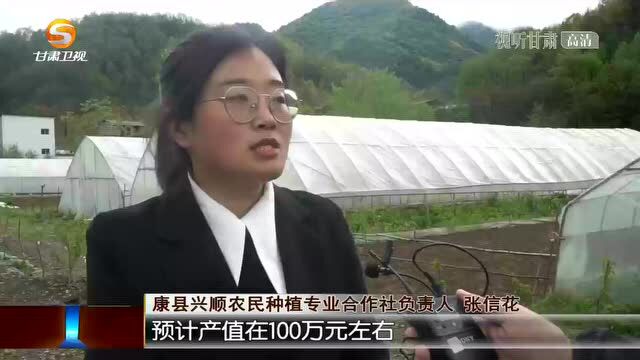 康县:发展特色产业 助力群众增收