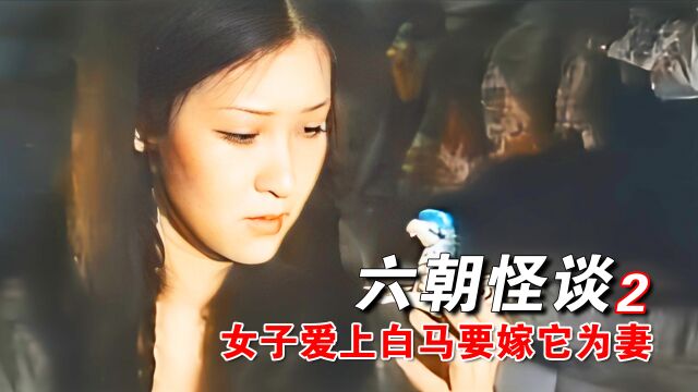 《六朝怪谈》女子爱上了一匹白马,要嫁他为妻,不料白马真的幻化成人 