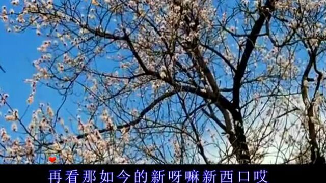 欣赏李玉平作词之歌曲【又见西口】