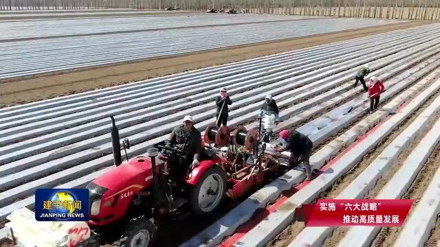 【乡村振兴】哈拉道口镇:打造特色种植基地 助农稳步增收