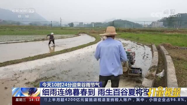 谷雨节气到来!细雨连绵暮春到,雨生百谷夏将至