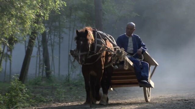 京剧大师的一生