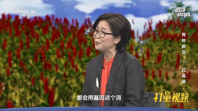 分子生物学的发展使科学家能精准地对基因进行编辑