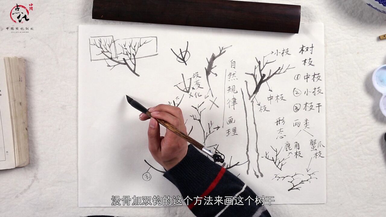 第03集 树枝的画法讲解_高清1080P在线观看平台_腾讯视频