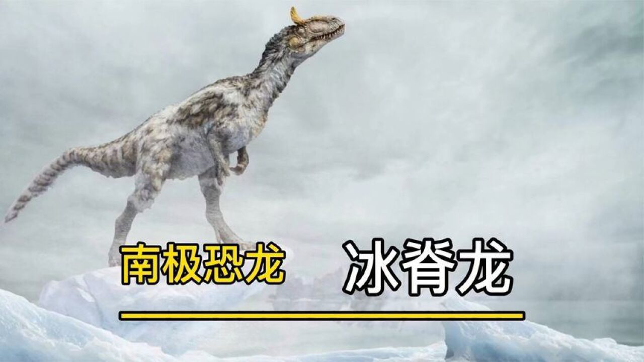 南极洲第一个食肉恐龙,冰脊龙,到底有多厉害?