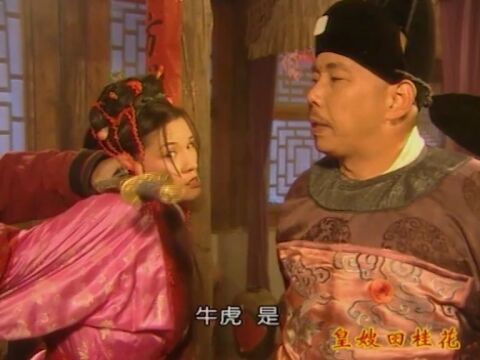 我就喜欢砍这些没有脑子的女人 皇嫂四桂花