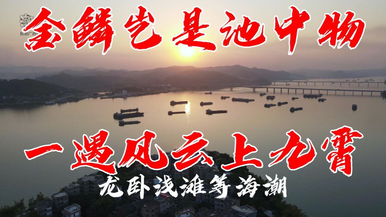 虎伏平阳听风啸,龙卧浅滩等海潮,金麟岂是池中物一遇风云上九霄_腾讯