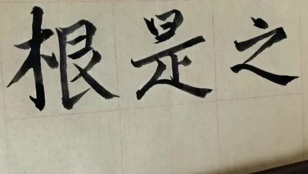 毛笔字天天练习根字