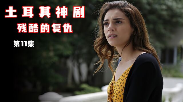 11婶婶为了千亿资产,三部计划将侄子控制手中《残酷的复仇》