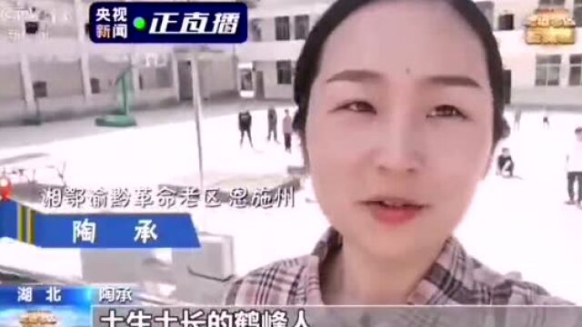 巾帼新力量:中营镇麻水贺英女子民兵连亮相央视新闻频道《走进老区看新貌》栏目