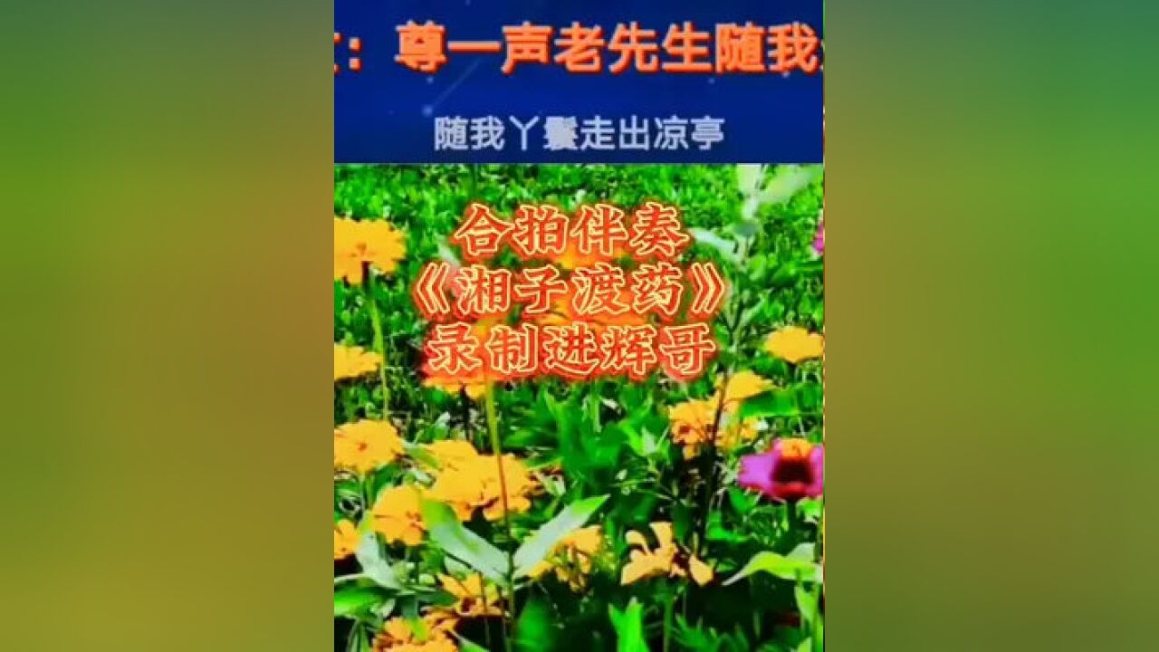 湖南花鼓戏 #湘子渡药 #合拍伴奏 男声:董郎