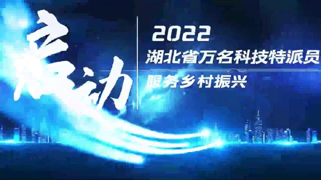 【视频】大别山区小酒厂“枯木逢春”!万名湖北科技特派员奔赴荆楚大地助力乡村振兴