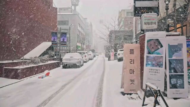 城市街道下雪雪景视频素材 (41)