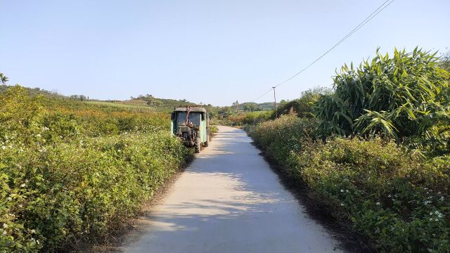 水泥路素材