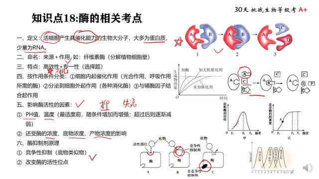 等级考 知识点18 酶的相关考点