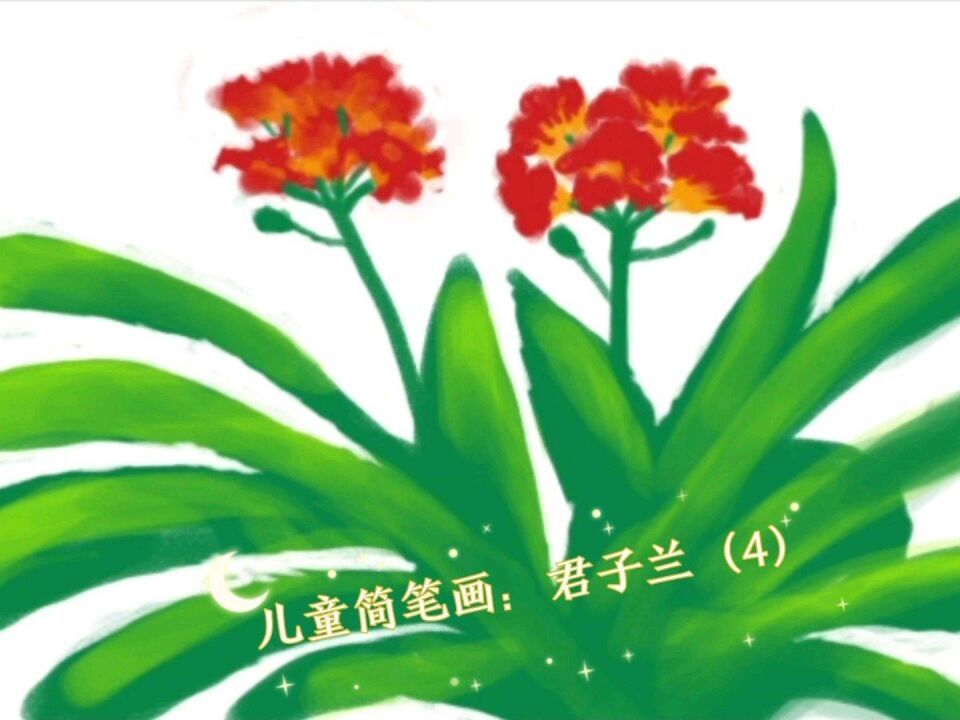 兒童簡筆畫:君子蘭(4#想學什麼都可以 )