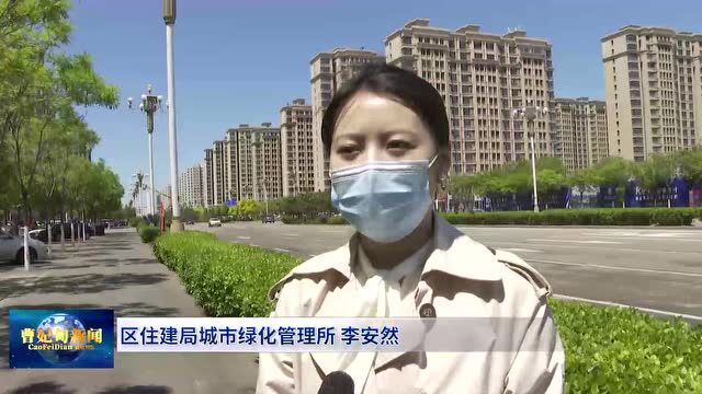 【民生热点】我区重点打造美丽街区 提升市容品质