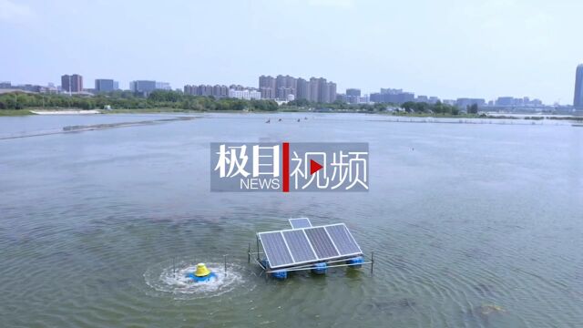 【视频】汤逊湖:光伏涌浪机“转圈圈”造浪改善水质