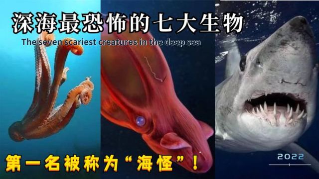 深海最恐怖的七大生物,深海鱼龙屈居第四,第一被称为“海怪”!