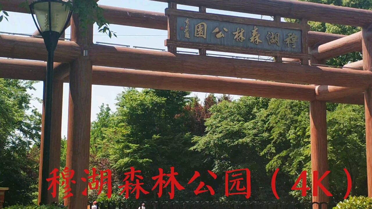 穆湖森林公园