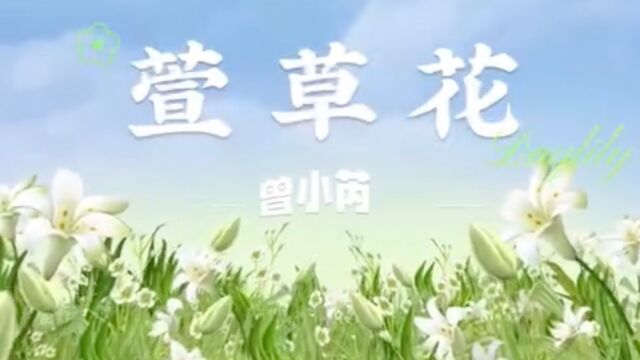  曾小芮 演唱《萱草花》