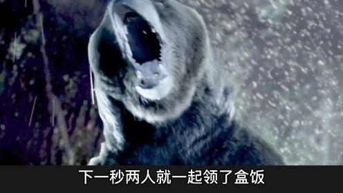 《嗜血灰熊》为了复仇2吨重巨熊疯狂攻击人类