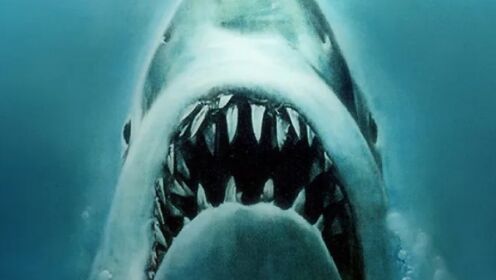 怎么样和大白鲨决斗这个电影教你一招《大白鲨》