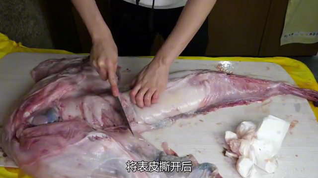 小伙花1000元买条怪鱼,一刀切开肚子,掉出10条鱼,却被说败家?