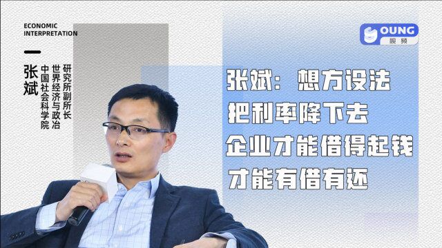 张斌:想方设法把利率降下去,企业才能借得起钱,才能有借有还