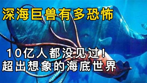 [图]深海巨兽能有多恐怖？10亿人没见过的海底世界，超出你的想象！