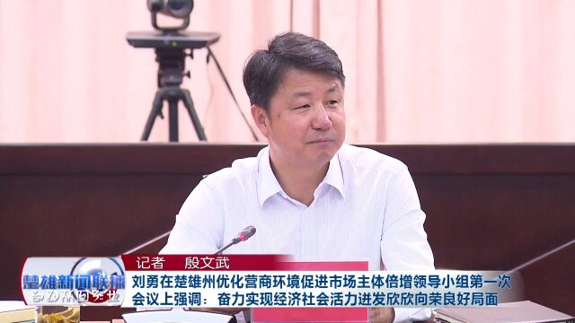 【优化营商环境 推动跨越发展】刘勇:奋力实现经济社会活力迸发欣欣向荣良好局面