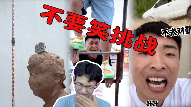 【不要笑挑战】挠脚心级!我已笑出猪叫