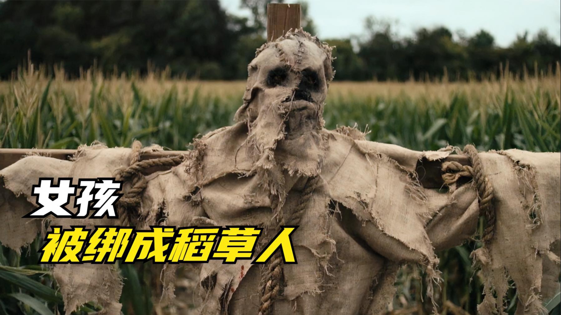 恐怖电影《稻草人》 屠夫抓捕游客,对其残忍又变态的各种折磨_腾讯