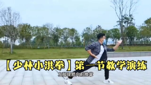 【少林小洪拳】第一节教学演练