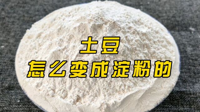 实拍制作土豆淀粉全过程,洁白如玉真材实料,见过的人不多!