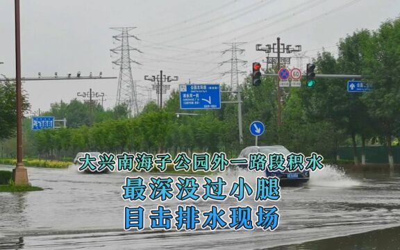 视频│大兴南海子公园外一路段积水,最深没过小腿,目击排水现场