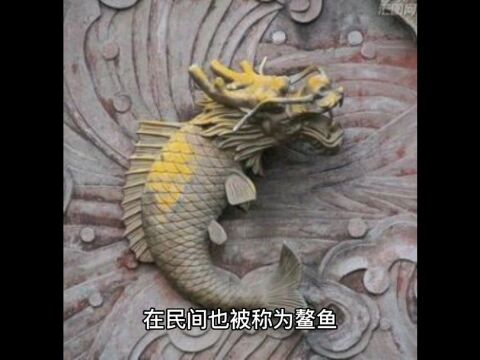 狎鱼是什么生物,它为何在古代建筑上?