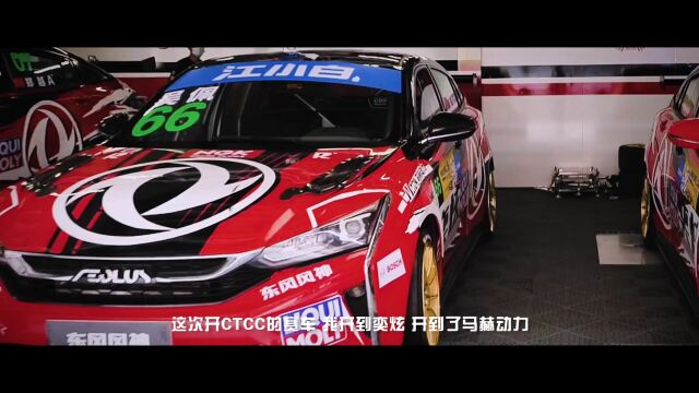 “马”上又“鲸”喜?红蓝CP或再合围2022 CTCC