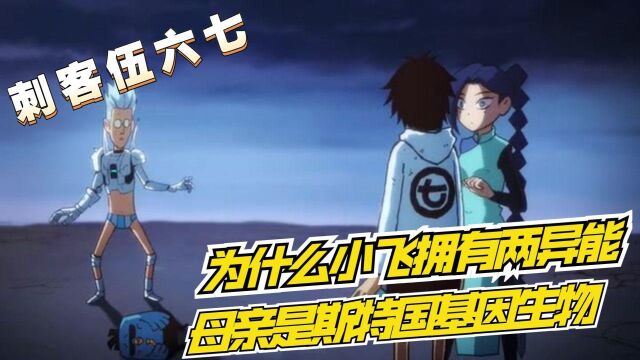 刺客伍六七:为什么小飞拥有两种异能,它的母亲是不是斯特国基因融合的生物