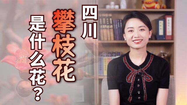 四川的攀枝花,到底是什么花?为什么要用花命名?