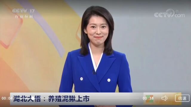 大悟又上央视了!