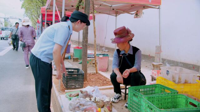 鹤庆县市管局预防野生菌中毒知识科普