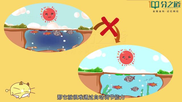 八年级上册生物“动物在生物圈中的作用”,用最简易的方法学知识!