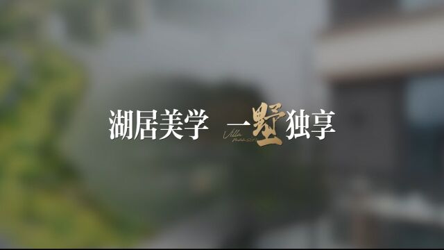 湖居美学 一墅独享